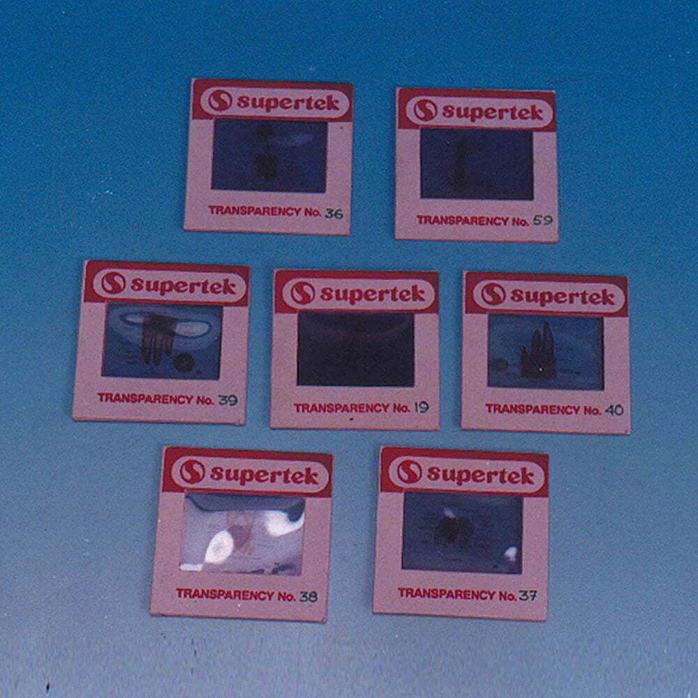 Projection Slides Set, Botany