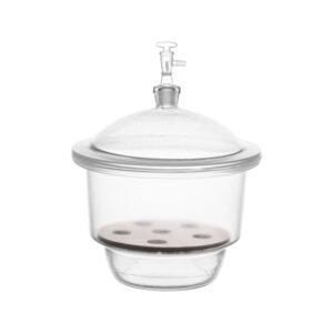 Desiccator Vacuum Neutral Glass with Porcelain Plate