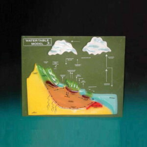 Water Table Model