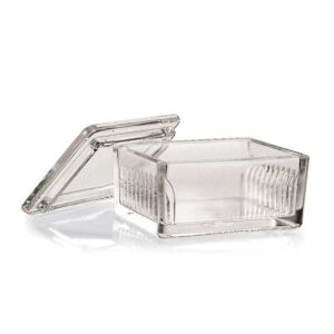 Staining Trough, Glass