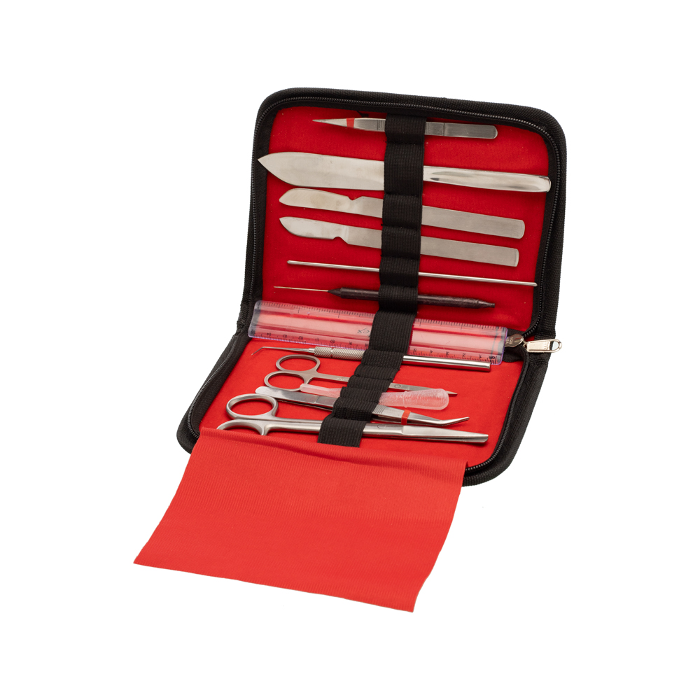 DISSECTING SET, INTERMEDIATE