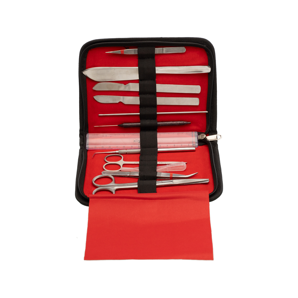 DISSECTING SET, INTERMEDIATE - Image 3