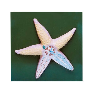ANATOMY OF STARFISH