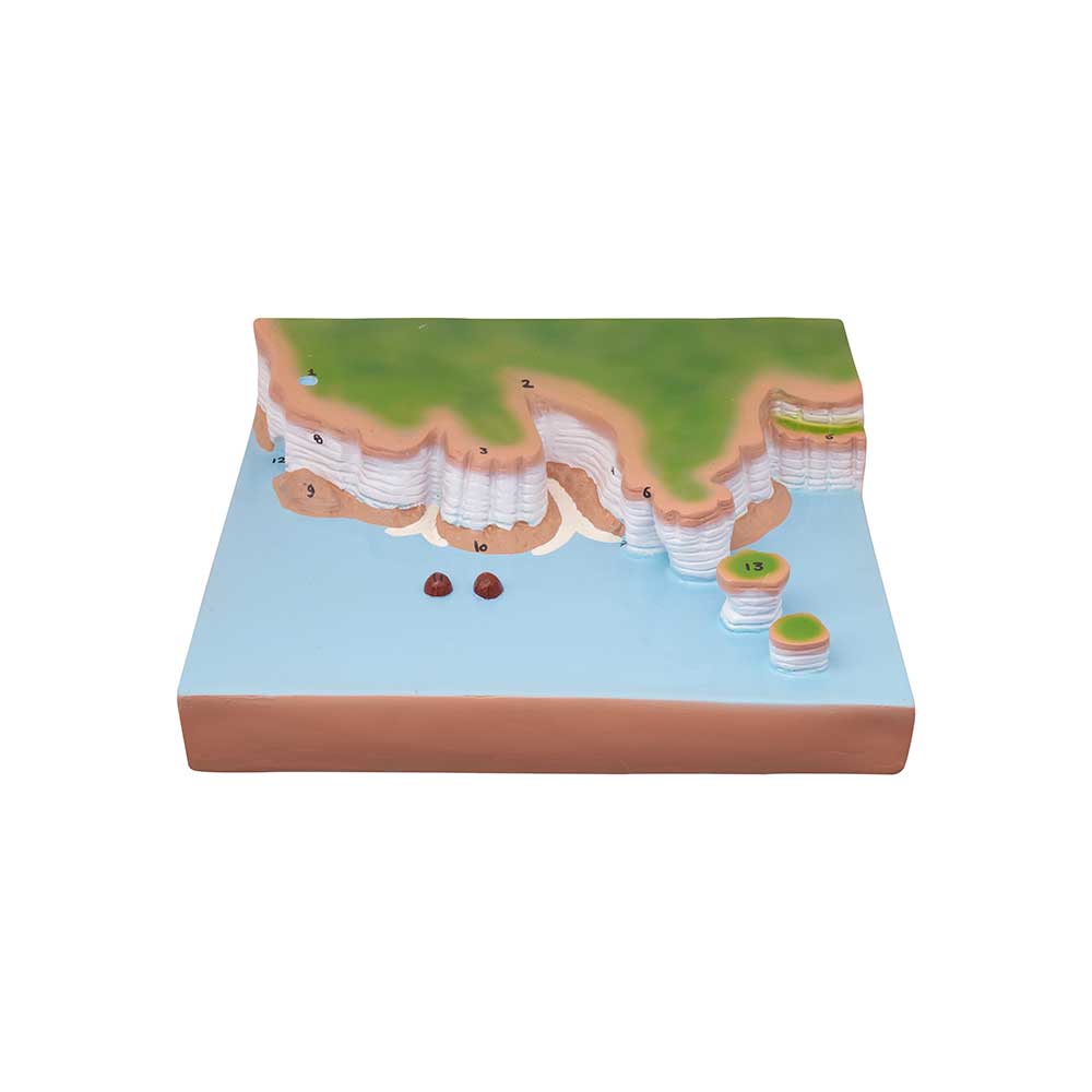 Whispering Coasts Echoes of Erosion (Sea Section)