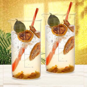 Peg Measure Glass Cocktail / Juice / Beer / Mocktail 250ml Pack of 2