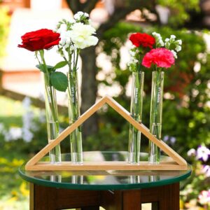 Triangle Plant Holder (4 Holes)