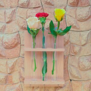 Wooden frame Test Tube Planter