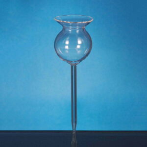 Thistle Funnel, Short Stem