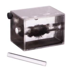 Magnetic Field Demonstrator